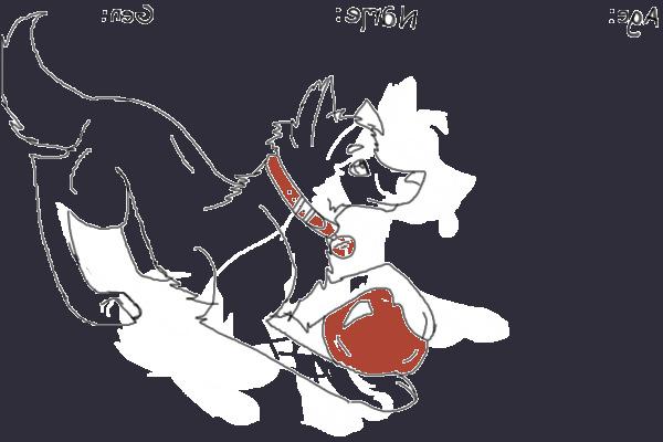 Black dog with ball