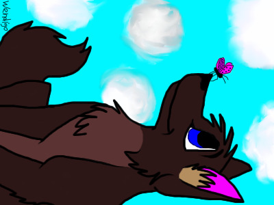 Wolf & Buterfly