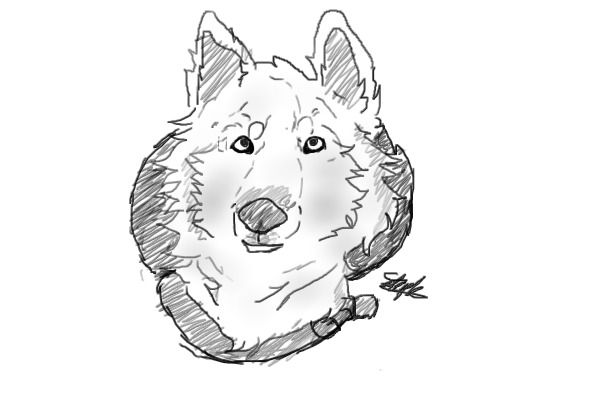 Dog Sketch