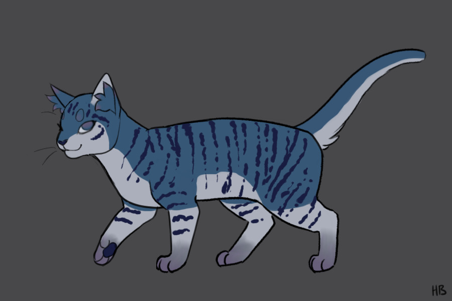Blueberry Cat