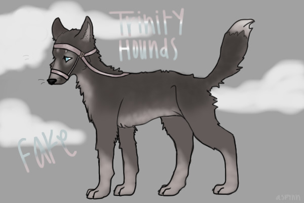 ★ trinity hounds entry ★