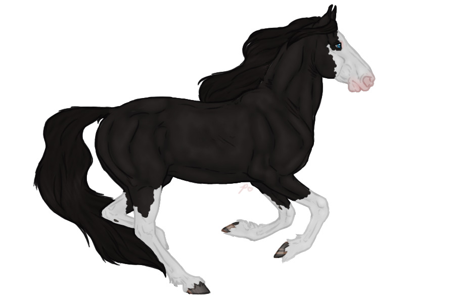 Seraeyn Mustang #019 | Black Splash |