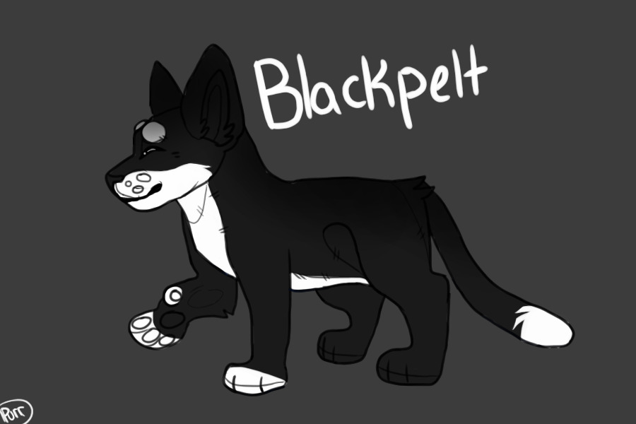Blackpelt