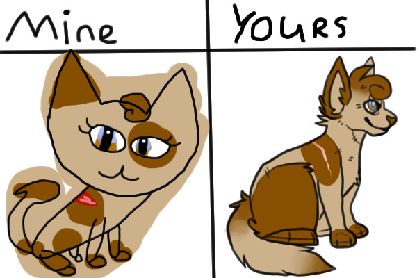 Mine VS Yours cat
