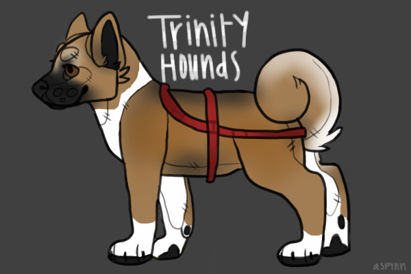 Trinity Adopt #09