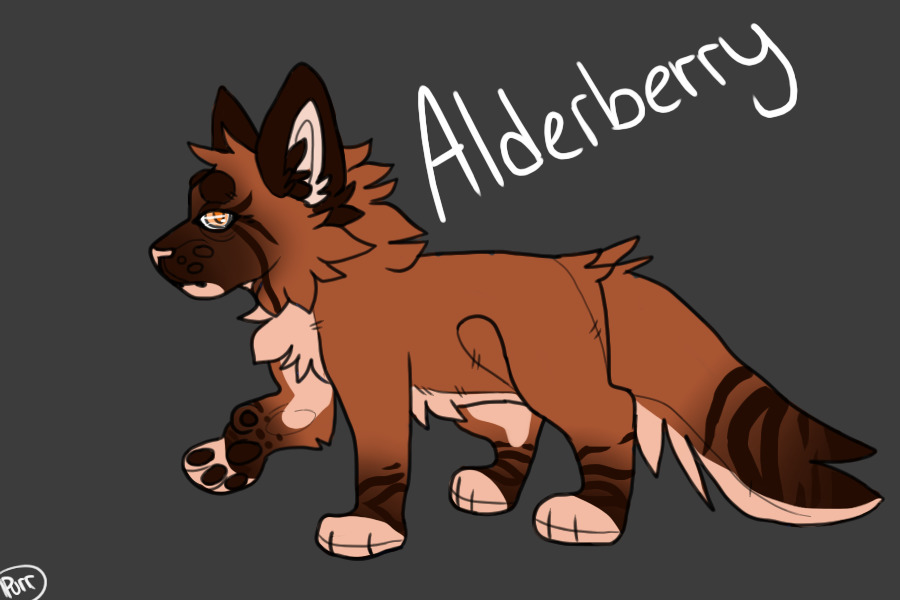 Alderberry