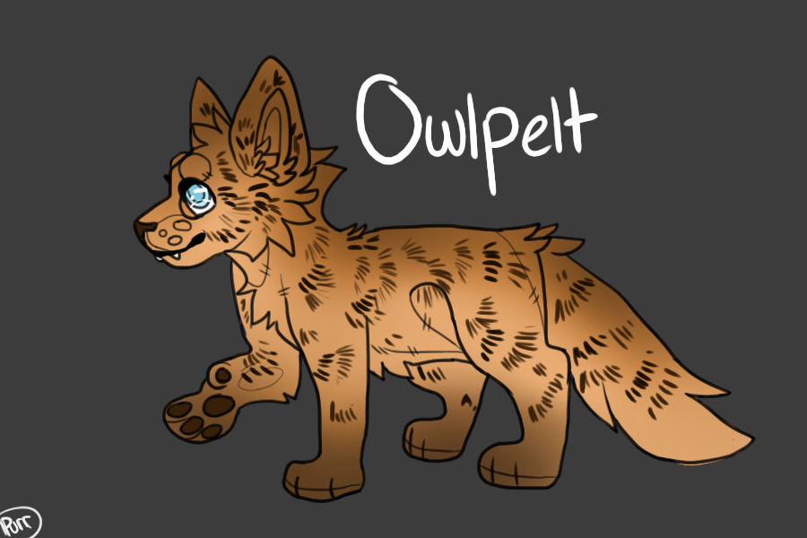 Owlpelt