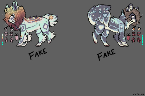 Cecelia x Vodka NB Entry