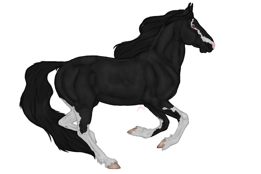 Seraeyn Mustang #021 | Black Splash |