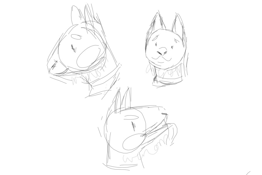 Bull terrier sketches