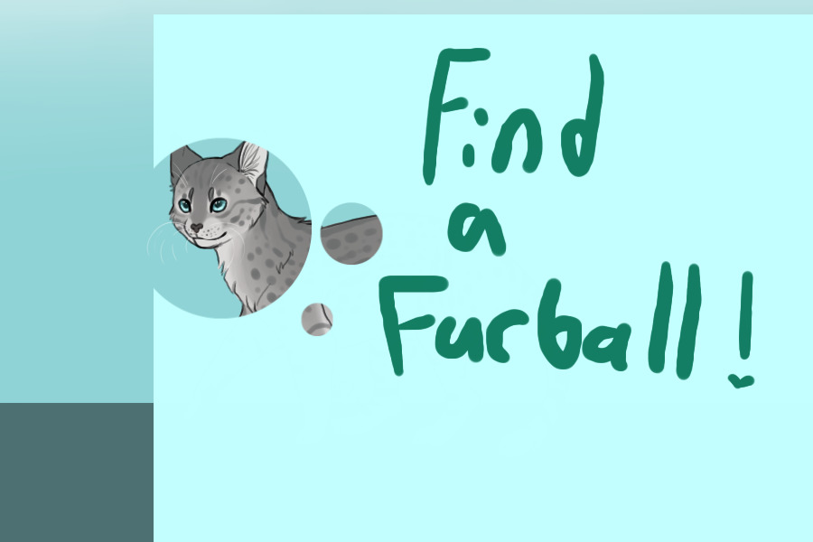 Find -a- Furball!