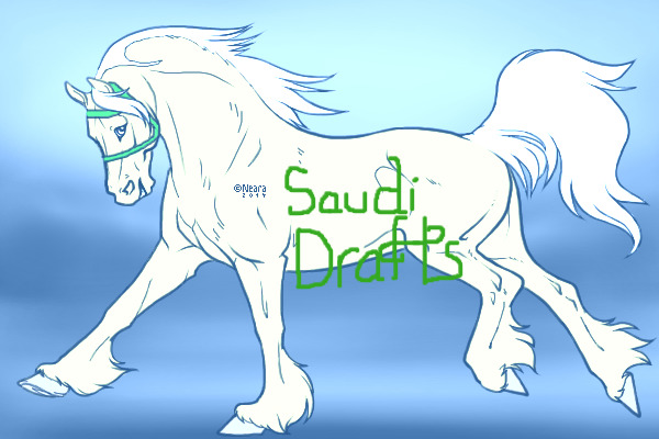 Saudi Drafts