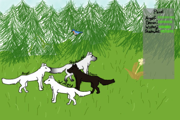 Coniferous Meadow
