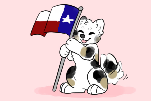 Texan Pride!