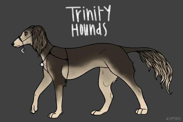 Trinity Adopt #12