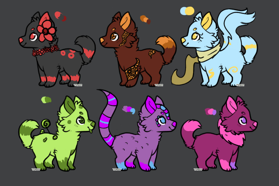 Pup Batch for Adoption