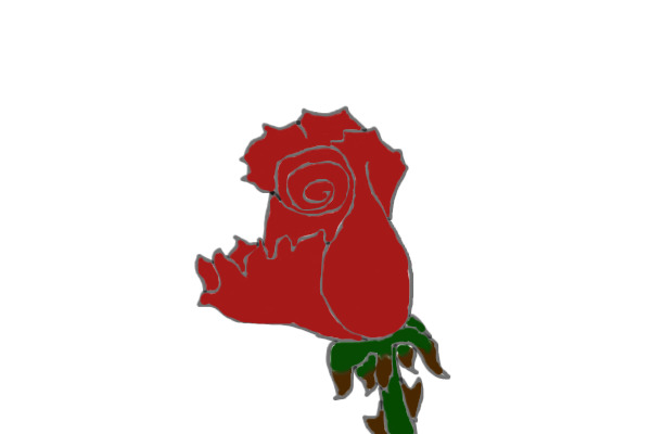 A rose