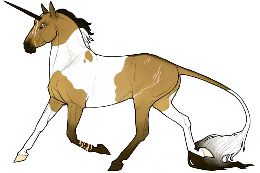 Fae: Buckskin Tobiano