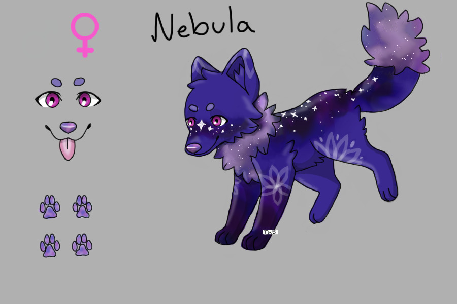 Nebula OC