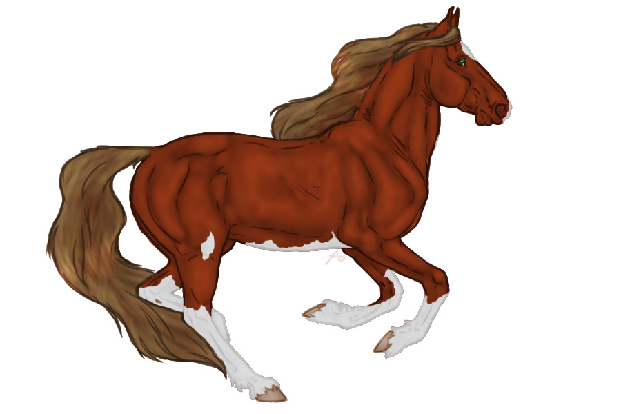 Seraeyn Mustang #023 | Flaxen Chestnut Splash
