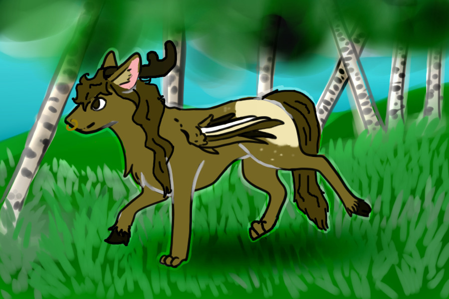 Very Rare Capella Auction