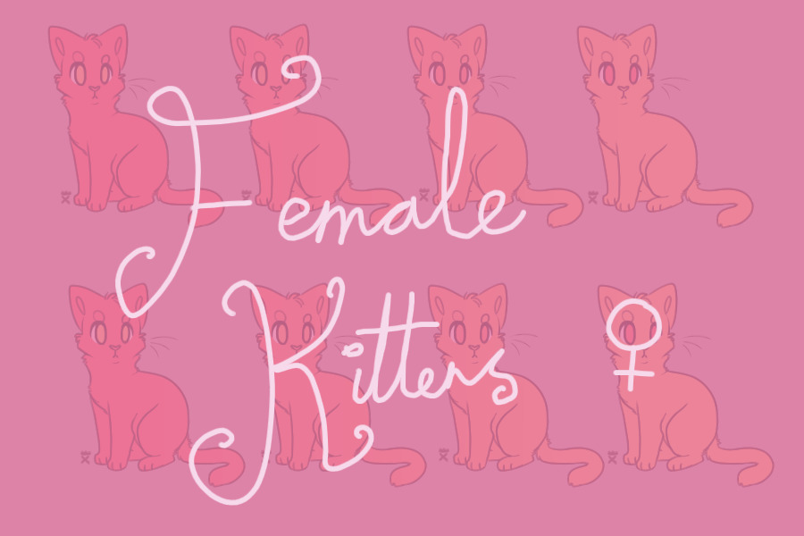 Cotton x Harvey Breeding: Female Kittens