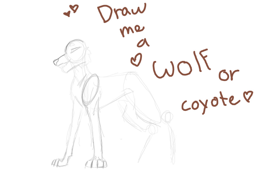Draw me a wolf or coyote!