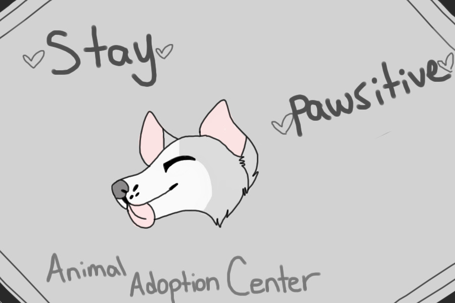 Stay Pawsitive ~ Animal Adoption Center