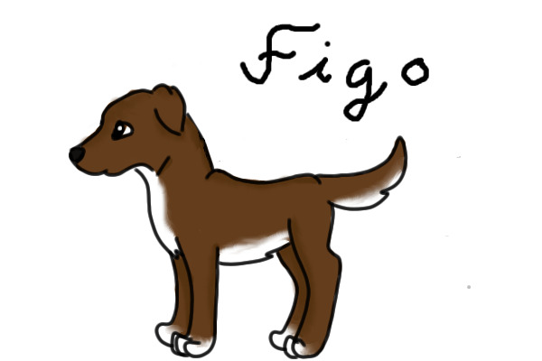 Figo, Yo´re always im my heart ♥