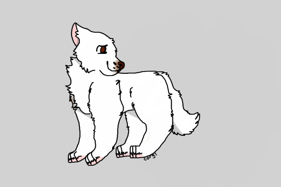 Stay Pawsitive Adopt #1/American Eskimo Dog