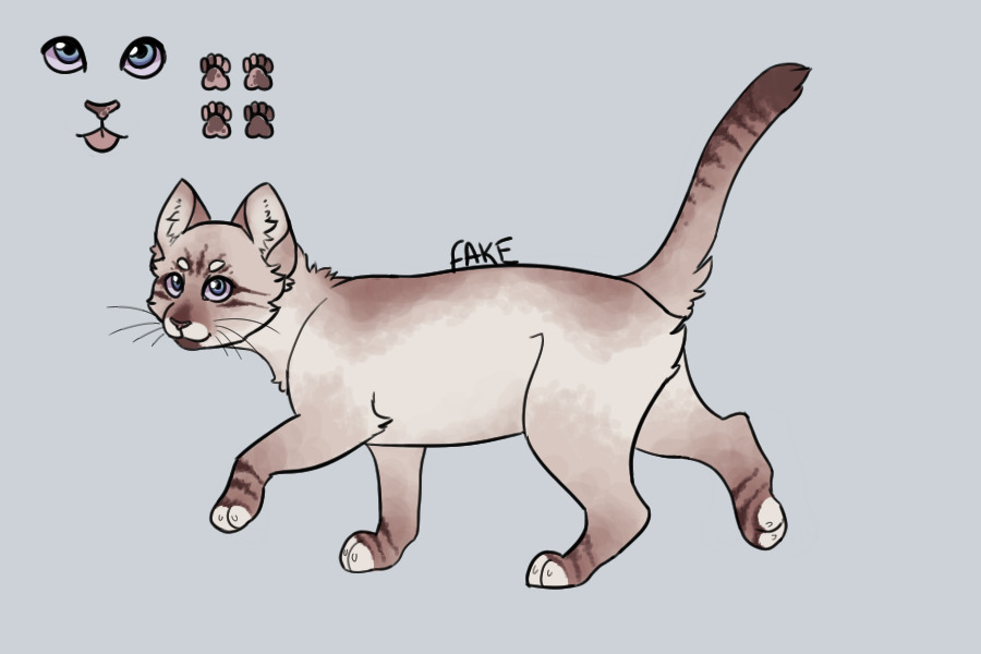 entry - lilac lynx point
