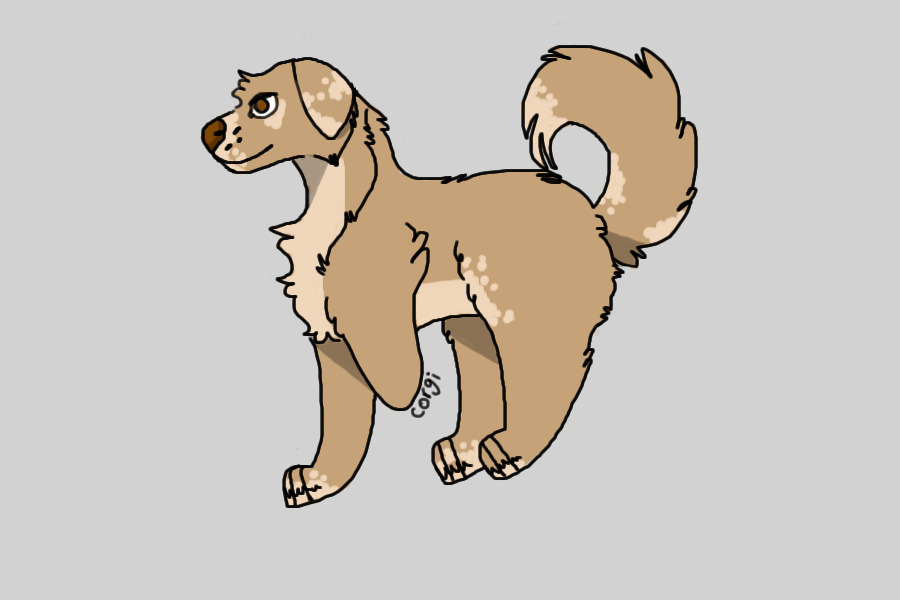 Stay Pawsitive Adopt #3/Retriever Mix