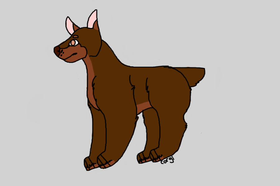 Stay Pawsitive Adopt #5/Rottweiler Mix