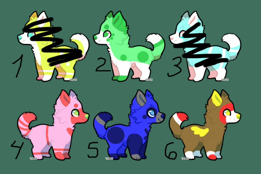 adopts ota