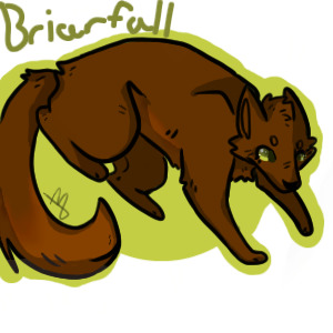 Briarfall profile picture