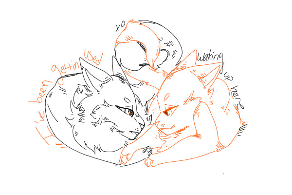 Fire and the Flood// Warrios OCs part 6