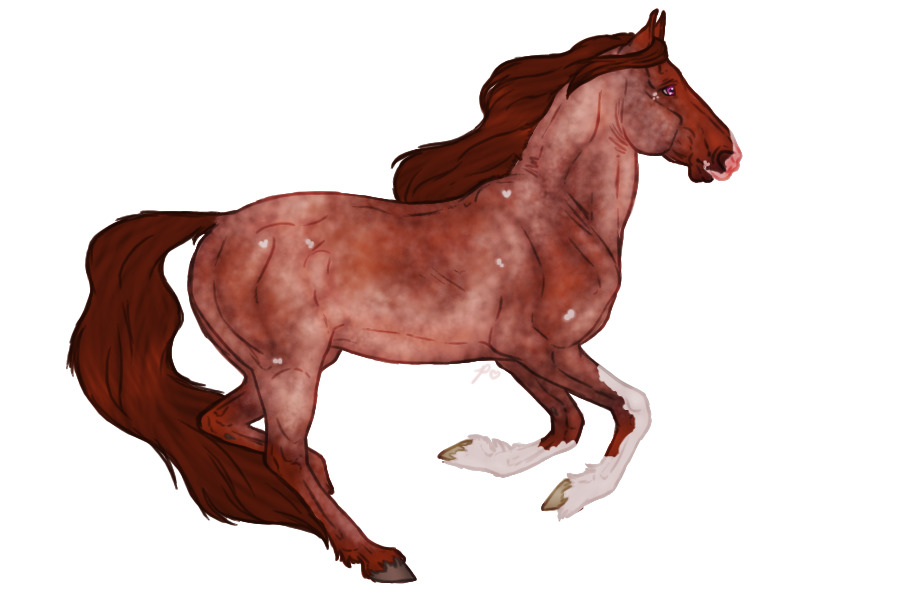 Seraeyn Mustang #024 | Artist Custom |