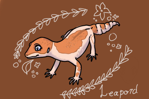 leapord gecko!