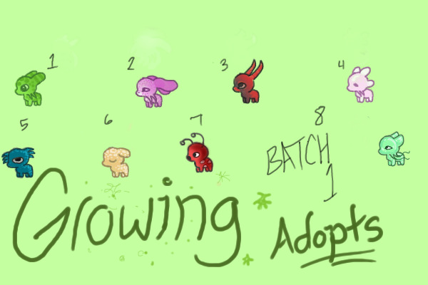 Growing adopts! Batch 1