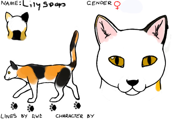 LilySpots