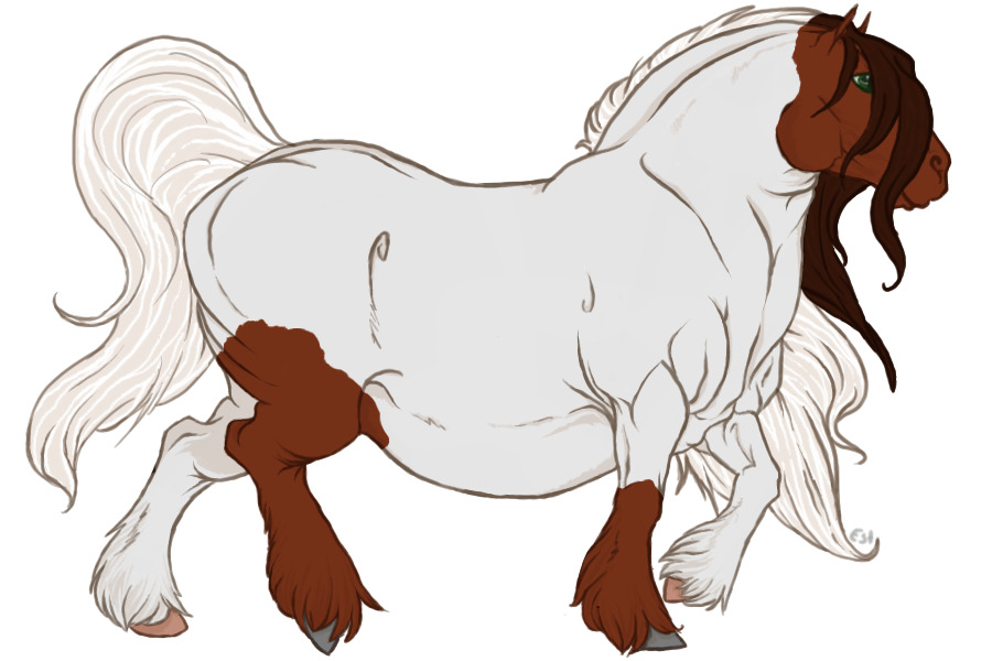 Reamhar Draught Horse #003