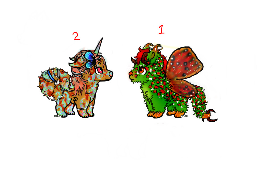 🌿🍃Puppy for trade🍃 🌿