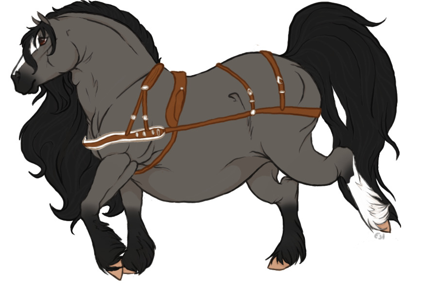 Reamhar Draught Horse #005