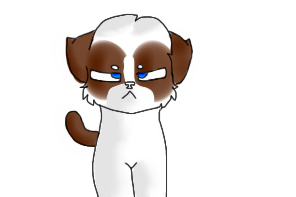 Grumpy cat Doesn't like You...