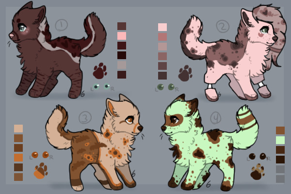 dog adopts -open-