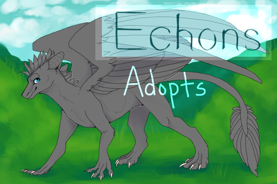 Echon Main Adopts
