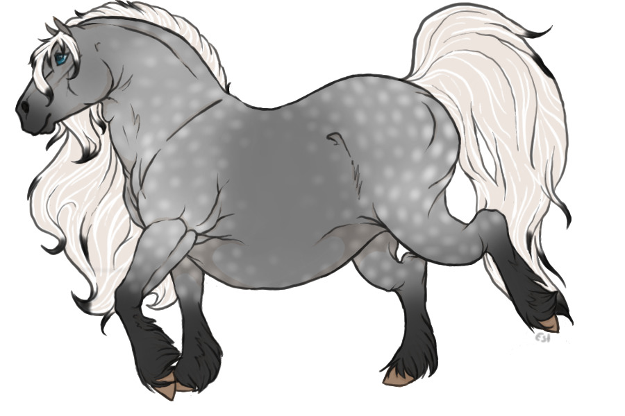 Reamhar Draught Horse #009