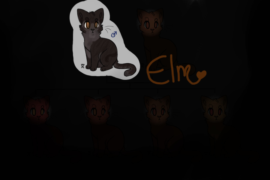 male up for breeding | elm