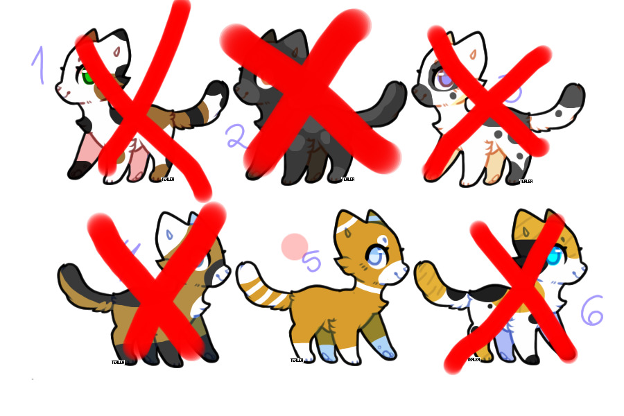 adopts!!