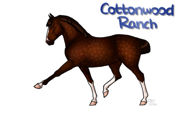 CWHR: Custom for ghost queen. [1/2]